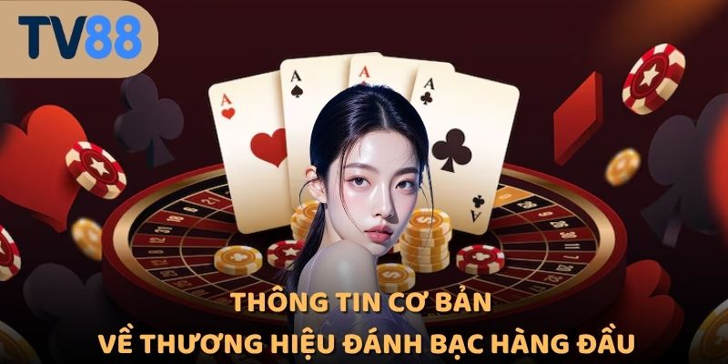 Thông tin cơ bản về thương hiệu đánh bạc hàng đầu