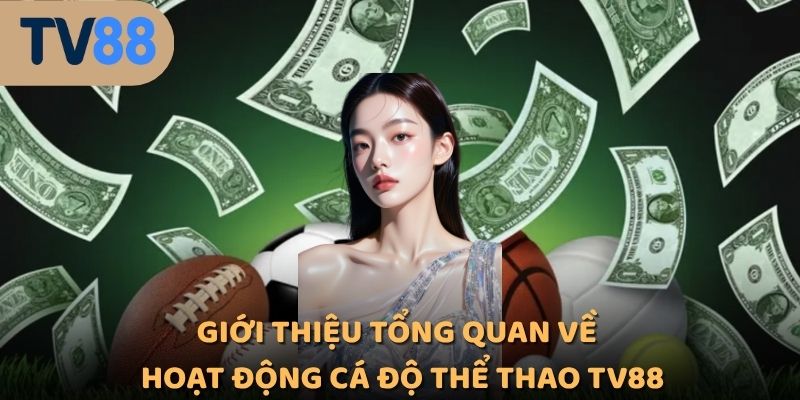 Giới thiệu tổng quan về hoạt động cá độ thể thao TV88